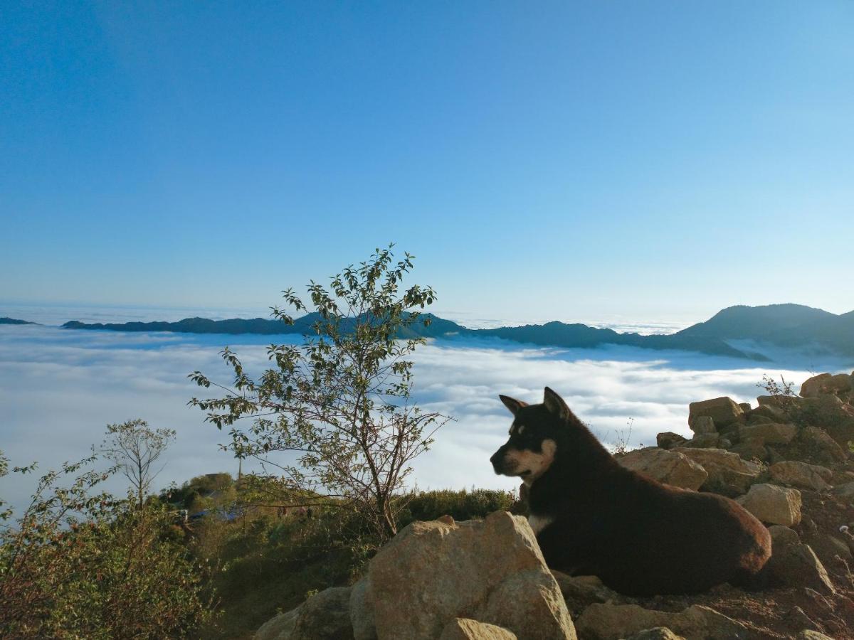 1941M Homestay Ta Xua Bac Yen Exteriör bild